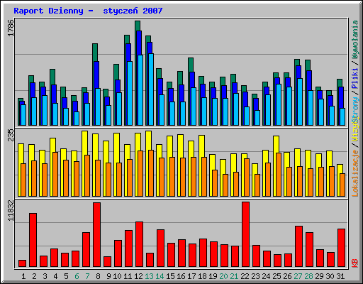 Raport Dzienny -  stycze 2007