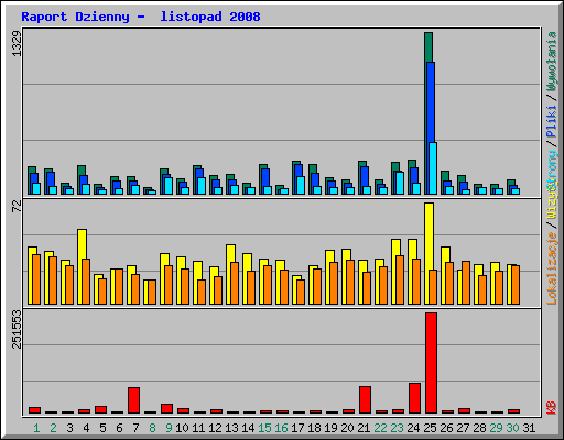 Raport Dzienny -  listopad 2008