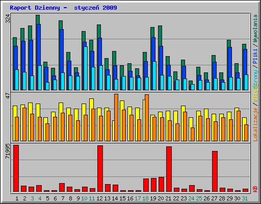 Raport Dzienny -  stycze 2009