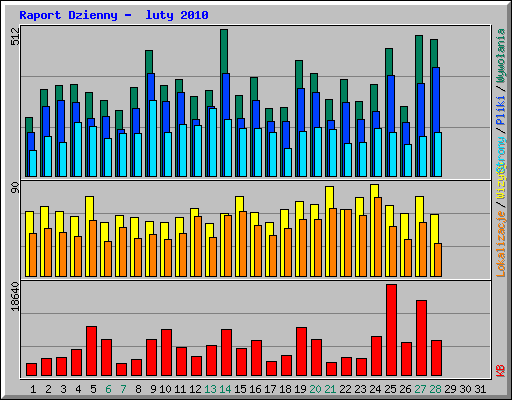 Raport Dzienny -  luty 2010