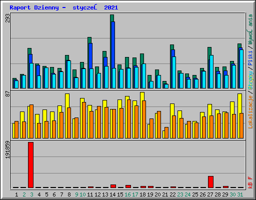 Raport Dzienny -  styczeń 2021