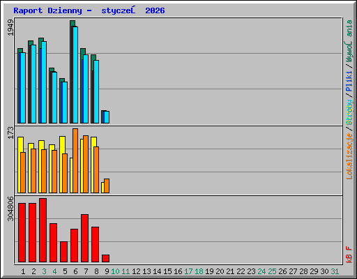Raport Dzienny -  styczeń 2026