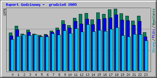 Raport Godzinowy -  grudzie 2005