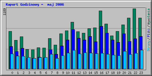 Raport Godzinowy -  maj 2006