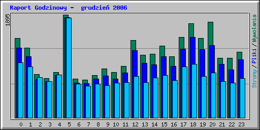 Raport Godzinowy -  grudzie 2006