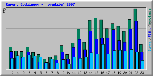 Raport Godzinowy -  grudzie 2007