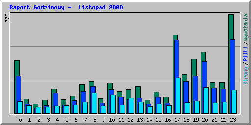 Raport Godzinowy -  listopad 2008