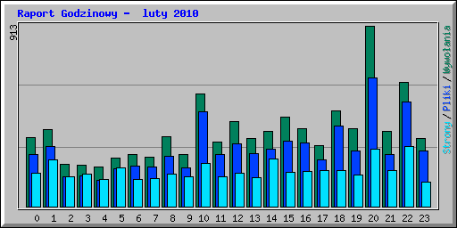 Raport Godzinowy -  luty 2010