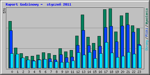 Raport Godzinowy -  stycze 2011