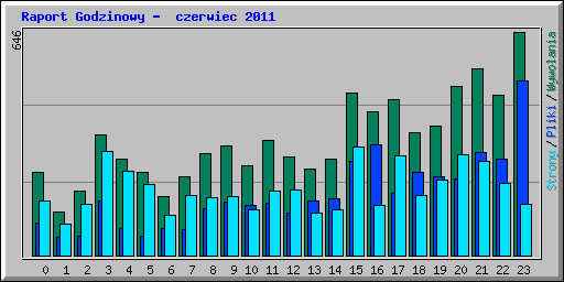 Raport Godzinowy -  czerwiec 2011