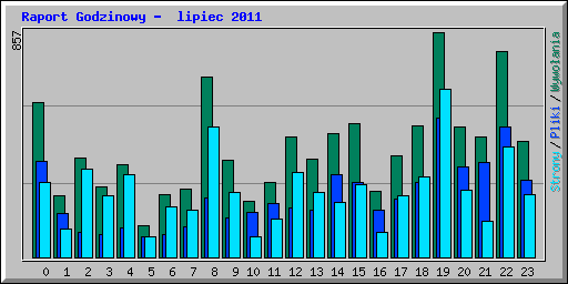 Raport Godzinowy -  lipiec 2011