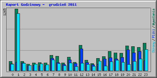 Raport Godzinowy -  grudzie 2011