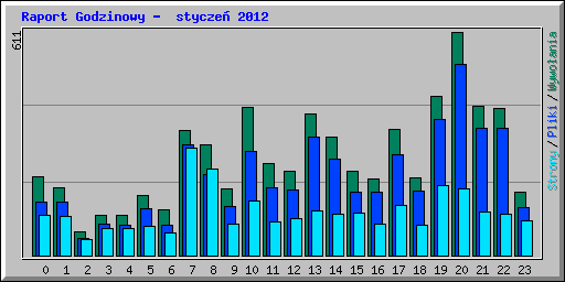 Raport Godzinowy -  stycze 2012