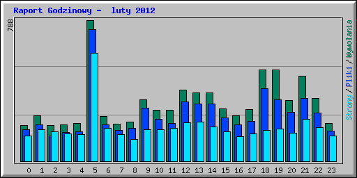 Raport Godzinowy -  luty 2012