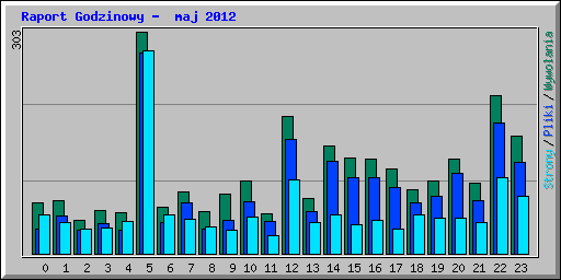 Raport Godzinowy -  maj 2012