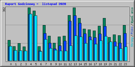 Raport Godzinowy -  listopad 2020