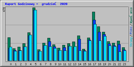 Raport Godzinowy -  grudzień 2020