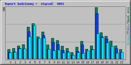 Raport Godzinowy -  styczeń 2021