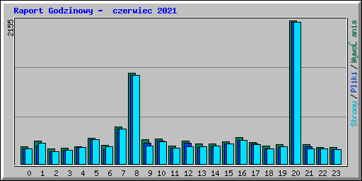 Raport Godzinowy -  czerwiec 2021