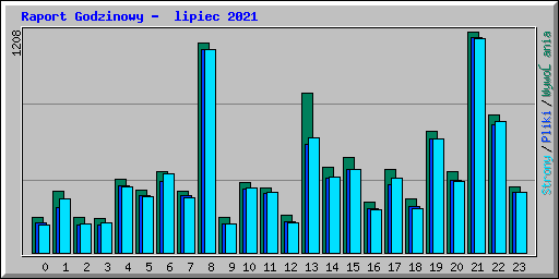 Raport Godzinowy -  lipiec 2021