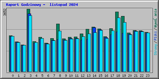 Raport Godzinowy -  listopad 2024