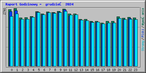 Raport Godzinowy -  grudzień 2024