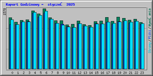 Raport Godzinowy -  styczeń 2025