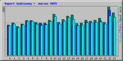 Raport Godzinowy -  marzec 2025