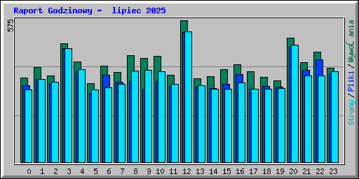 Raport Godzinowy -  lipiec 2025