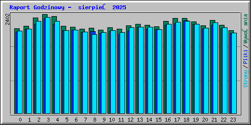 Raport Godzinowy -  sierpień 2025