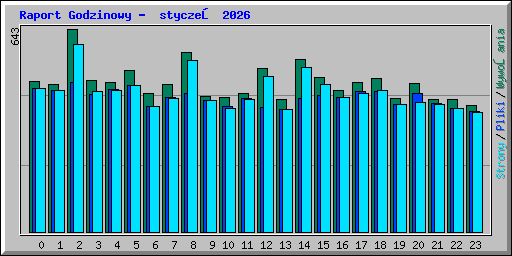 Raport Godzinowy -  styczeń 2026