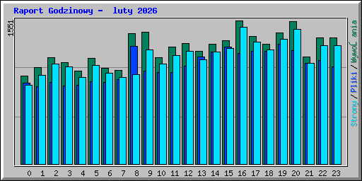 Raport Godzinowy -  luty 2026